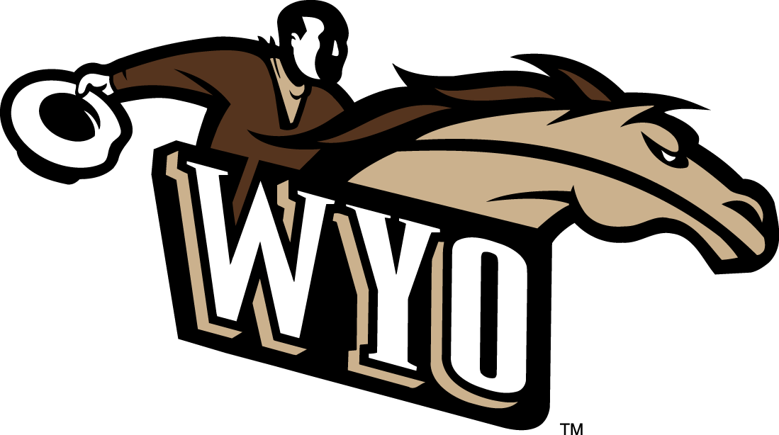 Wyoming Cowboys 1997-2006 Alternate Logo v2 iron on transfers for fabric